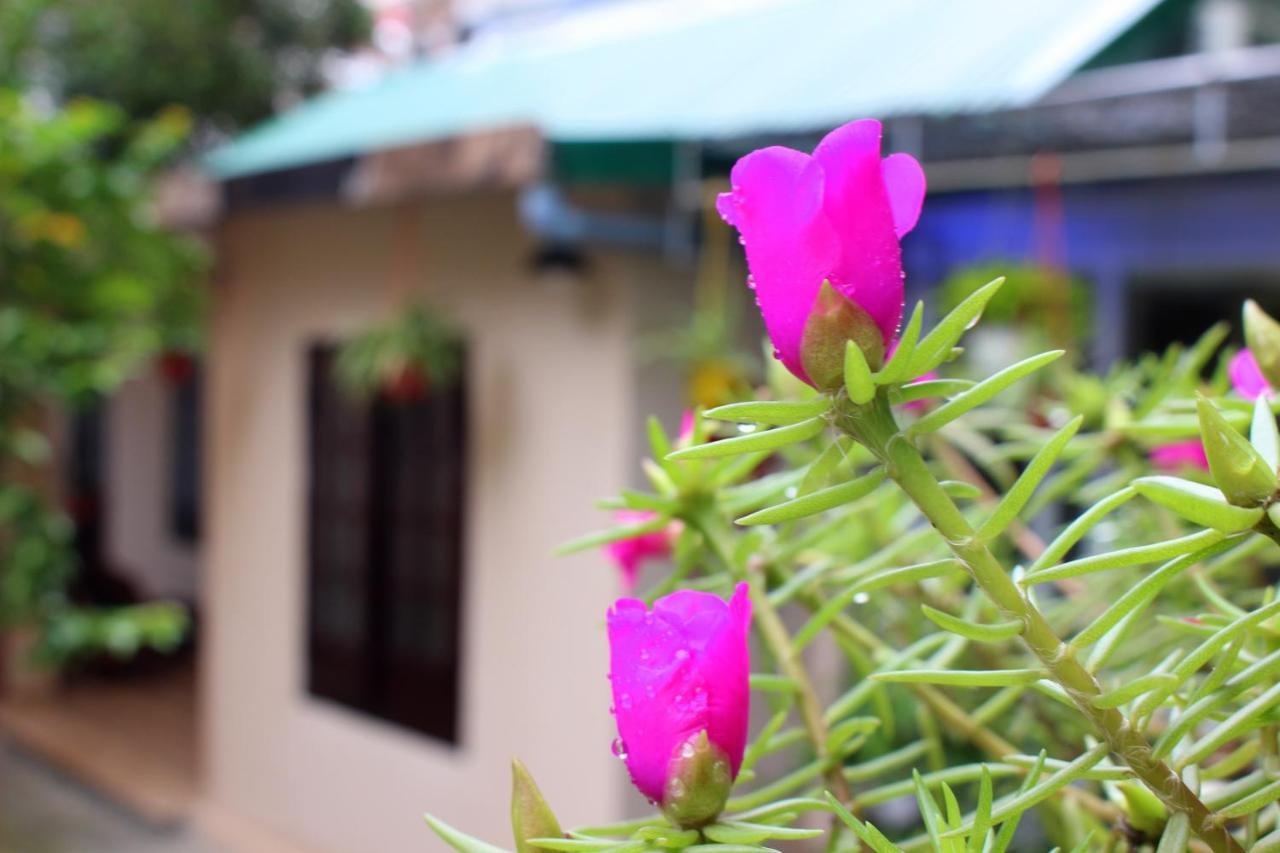 Homestay Minh Tu Hue Dış mekan fotoğraf